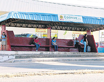 haga click para ampliar la imagen