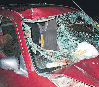 haga click para ampliar la imagen