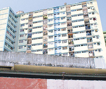 haga click para ampliar la imagen