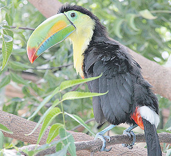 haga click para ampliar la imagen