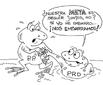 Imagen foto
