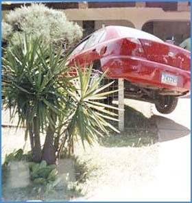 Imagen foto