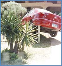 Imagen foto