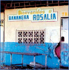 Imagen foto