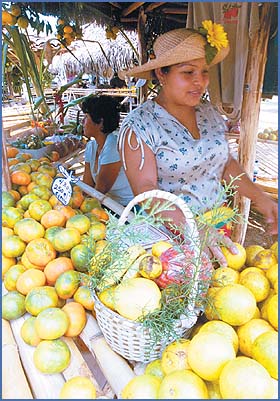 Imagen foto