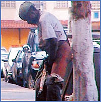 Imagen foto