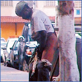 Imagen foto