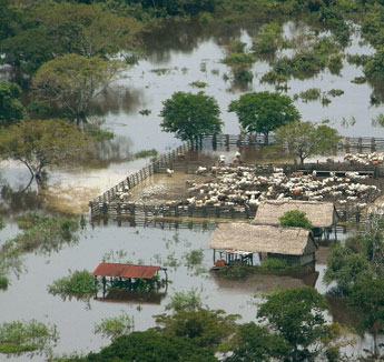 haga click para ampliar la imagen