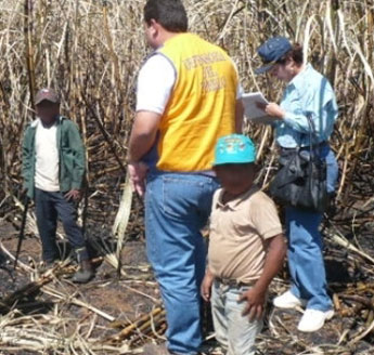 haga click para ampliar la imagen