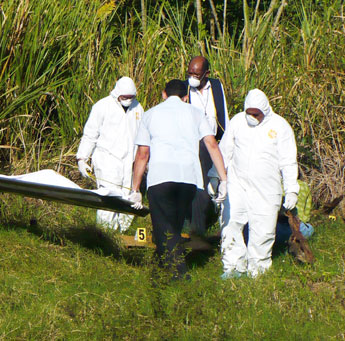 haga click para ampliar la imagen