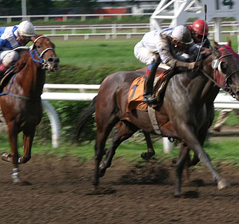 Imagen foto