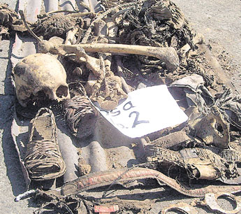 haga click para ampliar la imagen