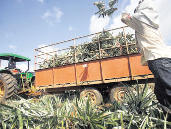 haga click para ampliar la imagen