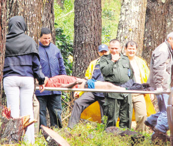 haga click para ampliar la imagen