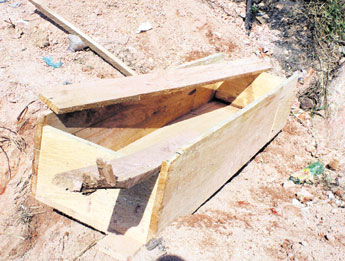 haga click para ampliar la imagen