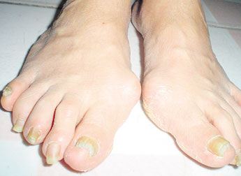 haga click para ampliar la imagen