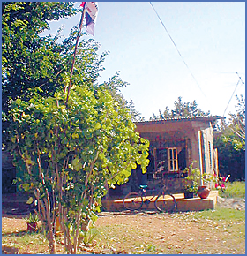 Imagen foto