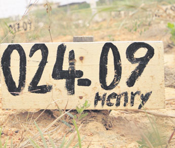 haga click para ampliar la imagen