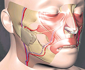 haga click para ampliar la imagen