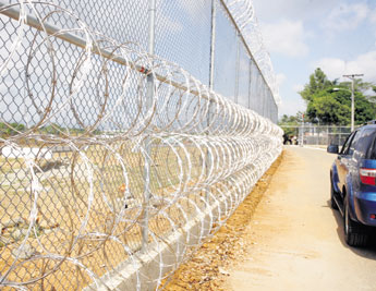 haga click para ampliar la imagen