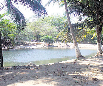 haga click para ampliar la imagen