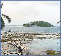 Imagen foto