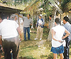 Imagen foto
