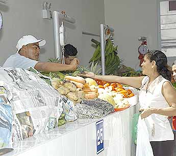 Imagen foto