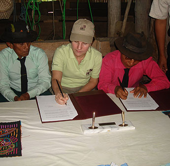 Imagen foto