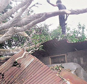 haga click para ampliar la imagen