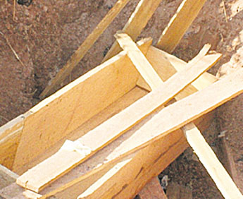 haga click para ampliar la imagen