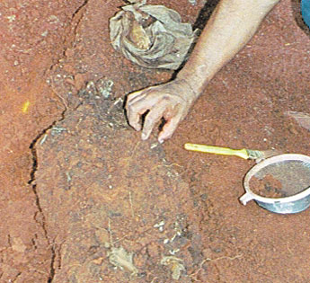 haga click para ampliar la imagen