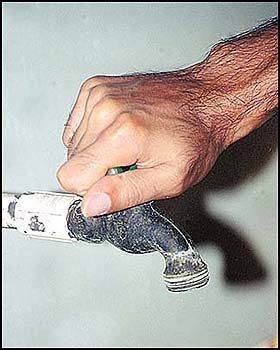 Imagen foto