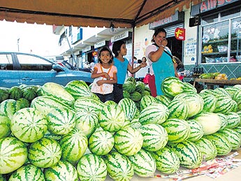 haga click para ampliar la imagen