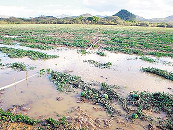 haga click para ampliar la imagen