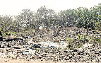 haga click para ampliar la imagen