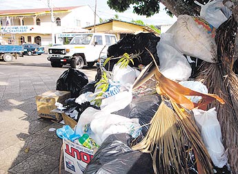 haga click para ampliar la imagen