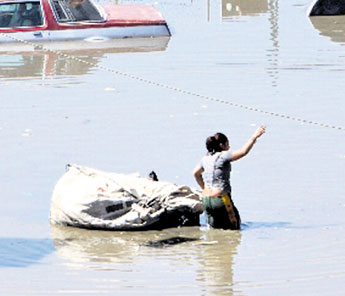 haga click para ampliar la imagen