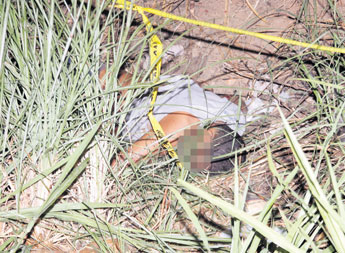 haga click para ampliar la imagen