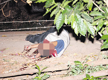 haga click para ampliar la imagen