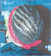 Imagen foto
