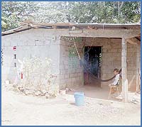 Imagen foto
