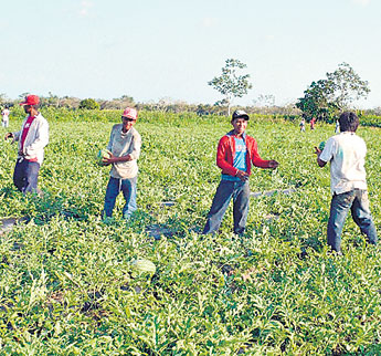 haga click para ampliar la imagen