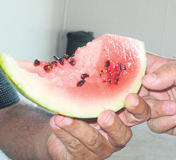 haga click para ampliar la imagen