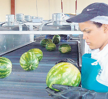 haga click para ampliar la imagen