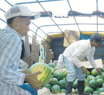 haga click para ampliar la imagen