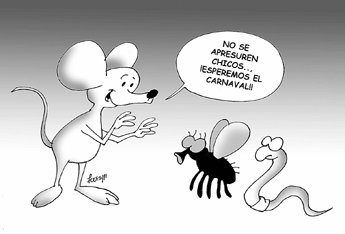 haga click para ampliar la imagen