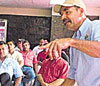 haga click para ampliar la imagen