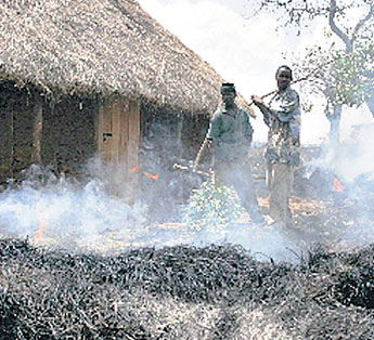 haga click para ampliar la imagen