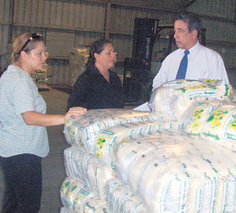 haga click para ampliar la imagen